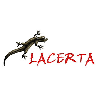 Lacerta