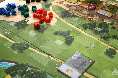 Caylus 1303